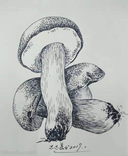 多物体速写 如何画速写？