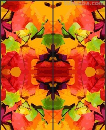 探秘对称色彩：从理论到实践，看对称色彩图片大全 