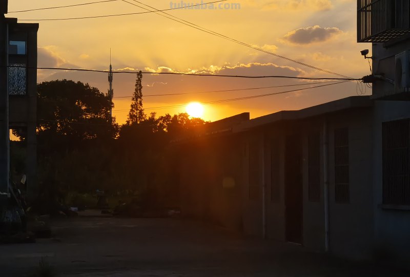 什么是习惯思维导图 什么是习惯？