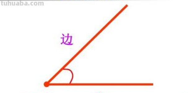 一个角由几个部分组成?