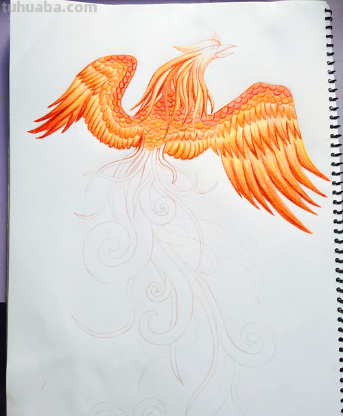 玄风怎么画彩铅 怎么用彩铅画龙和凤凰?