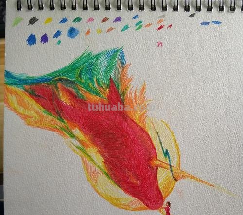 玄风怎么画彩铅 怎么用彩铅画龙和凤凰？