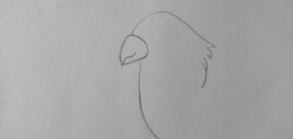 玄风怎么画彩铅 怎么用彩铅画龙和凤凰? 玄风怎么画彩铅 怎么用彩铅画龙和凤凰?