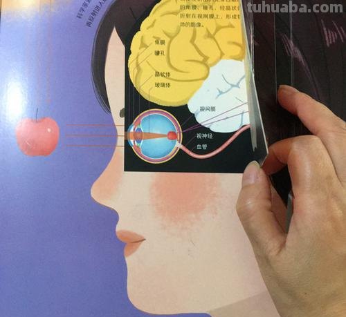 妈妈的色彩:从视觉到情感的转变