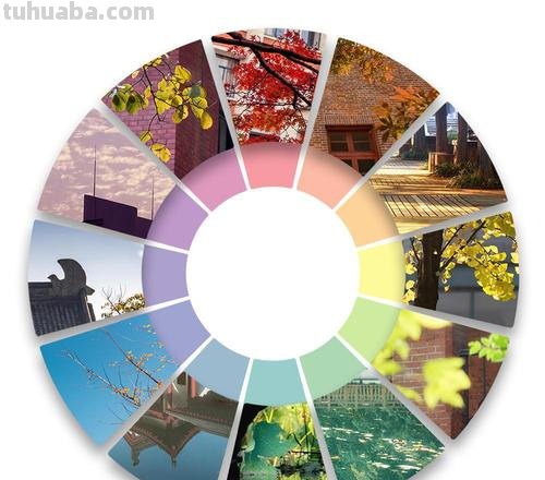 色彩混色实训总结——让画作更加绚丽多彩