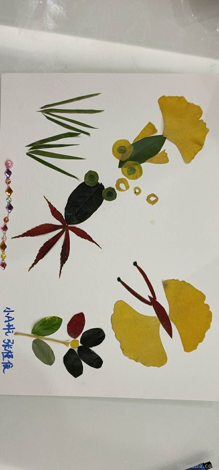 为何幼儿园总是喜欢布置需要父母“高度参与”的亲自作业?合适吗?