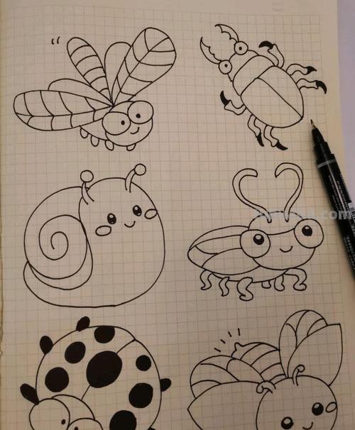 虫的简笔画怎么画 三年级昆虫绘画简单漂亮？