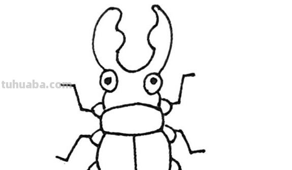 虫的简笔画怎么画 三年级昆虫绘画简单漂亮？