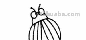 虫的简笔画怎么画 三年级昆虫绘画简单漂亮？