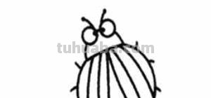 虫的简笔画怎么画 三年级昆虫绘画简单漂亮？