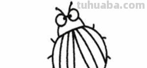 虫的简笔画怎么画 三年级昆虫绘画简单漂亮？