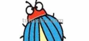 虫的简笔画怎么画 三年级昆虫绘画简单漂亮？