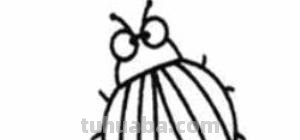 虫的简笔画怎么画 三年级昆虫绘画简单漂亮？