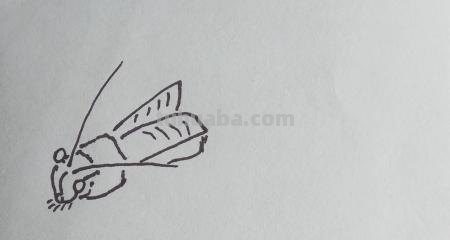 虫的简笔画怎么画 三年级昆虫绘画简单漂亮？