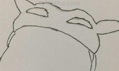 猪猪侠怎么画简笔画 一二三年级的画猪猪侠? 猪猪侠怎么画简笔画 一二三年级的画猪猪侠?