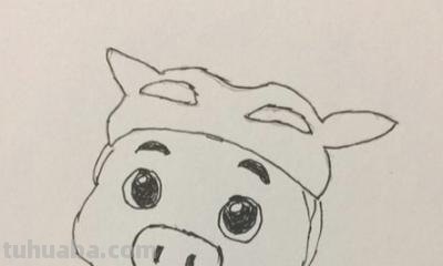 猪猪侠怎么画简笔画 一二三年级的画猪猪侠? 猪猪侠怎么画简笔画 一二三年级的画猪猪侠?