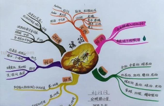 思维导图琥珀怎么形成 琥珀是怎么形成的?