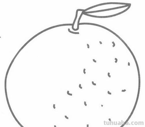 橘子的简笔画怎么画 橘子画画？