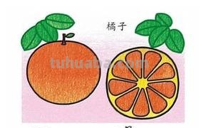 橘子的简笔画怎么画 橘子画画？