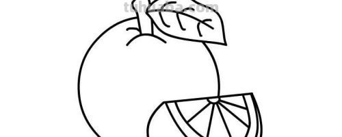 橘子的简笔画怎么画 橘子画画？