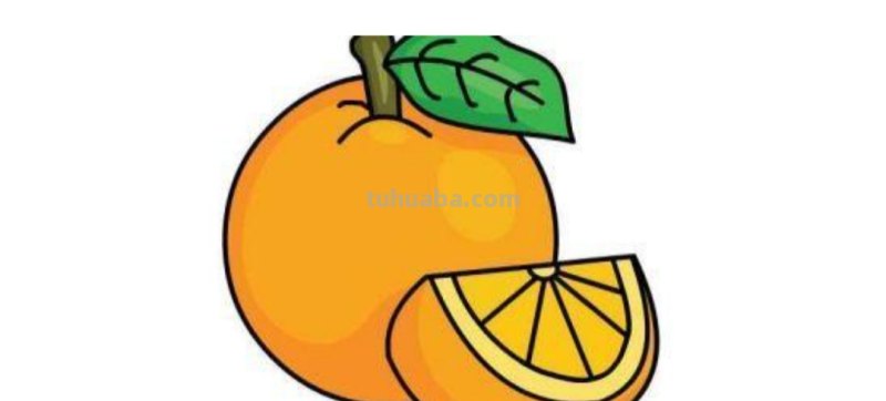 橘子的简笔画怎么画 橘子画画？