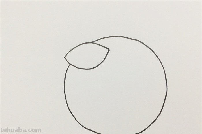 橘子的简笔画怎么画 橘子画画？