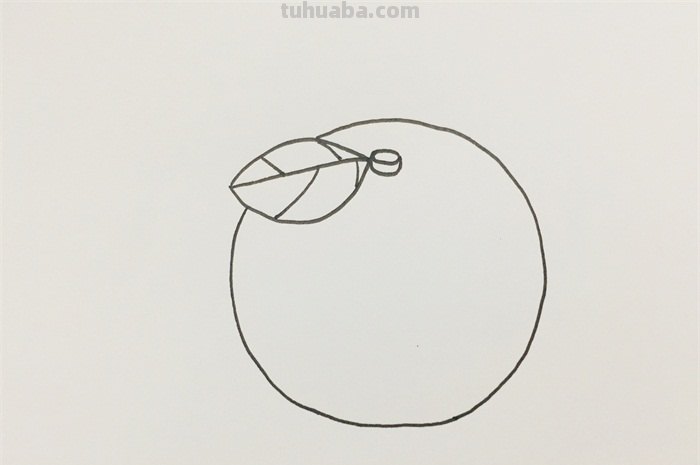 橘子的简笔画怎么画 橘子画画？