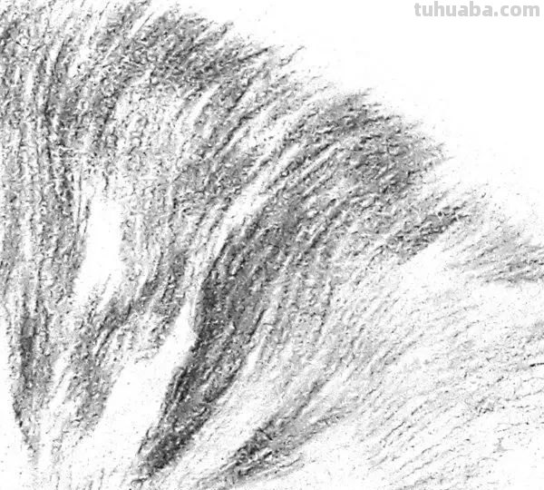 小猫彩铅素描怎么画 小馋猫简单铅笔画？