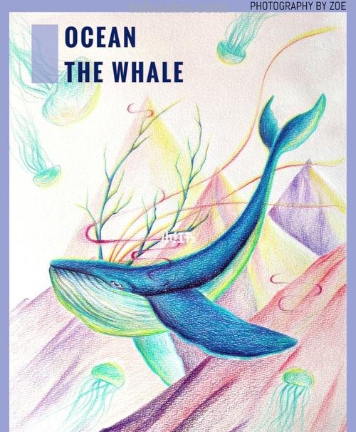 鲸鱼怎么画用彩铅 怎样快速画抹香鲸？