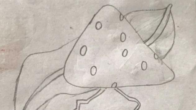 手抄报的粽子怎么画 端午节手抄报简单漂亮，一年级？