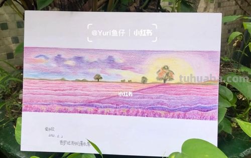 怎么画薰衣草花海彩铅 怎么用彩铅画超简单的花海？