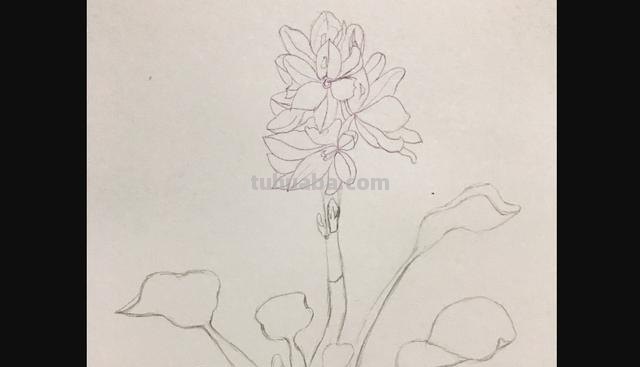 怎么画薰衣草花海彩铅 怎么用彩铅画超简单的花海？