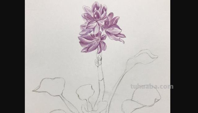 怎么画薰衣草花海彩铅 怎么用彩铅画超简单的花海？