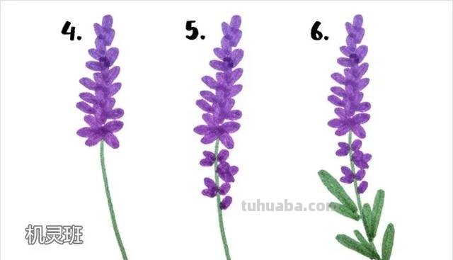 怎么画薰衣草花海彩铅 怎么用彩铅画超简单的花海？