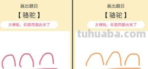 松鼠的简笔画怎么画 QQ画图红包犀牛、松鼠、骆驼、鲨鱼等简单画法？