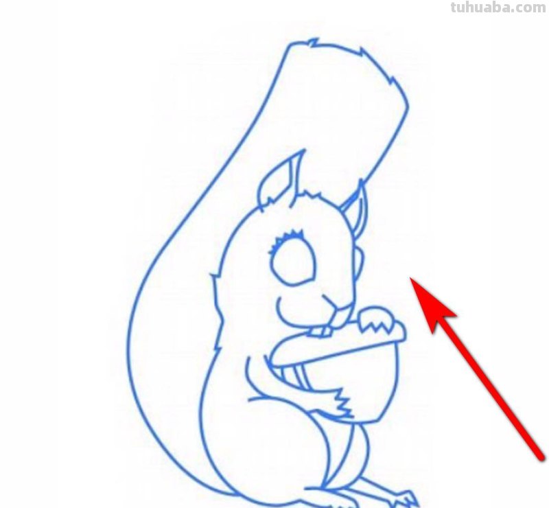 松鼠的简笔画怎么画 QQ画图红包犀牛、松鼠、骆驼、鲨鱼等简单画法？