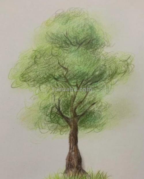 明信片彩铅小树怎么画 怎么使用彩铅画树？