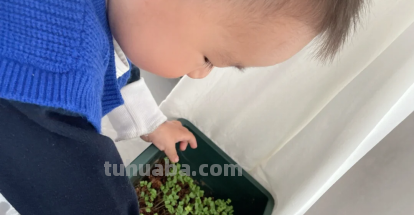 ...生活环境感到好奇阶段,如何正确引导孩子的好奇心?