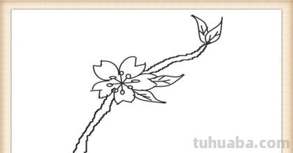 怎么画桃花树简笔画 画桃花树简单又漂亮? 怎么画桃花树简笔画 画桃花树简单又漂亮?