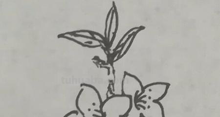 怎么画桃花树简笔画 画桃花树简单又漂亮? 怎么画桃花树简笔画 画桃花树简单又漂亮?