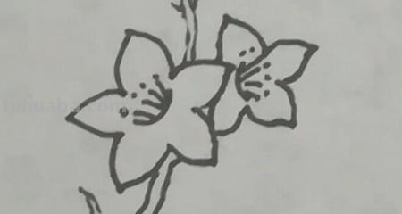 怎么画桃花树简笔画 画桃花树简单又漂亮? 怎么画桃花树简笔画 画桃花树简单又漂亮?