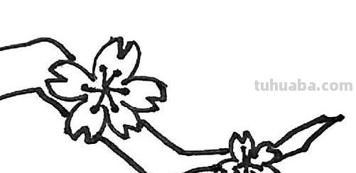 怎么画桃花树简笔画 画桃花树简单又漂亮? 怎么画桃花树简笔画 画桃花树简单又漂亮?