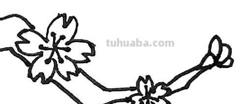 怎么画桃花树简笔画 画桃花树简单又漂亮? 怎么画桃花树简笔画 画桃花树简单又漂亮?