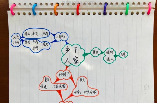 农村有什么思维导图 四年级下册语文书第19课《乡下人家》思维导图怎么写？