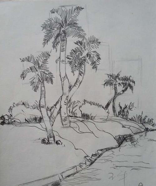 速写叶子树 风景速写中怎样画树?