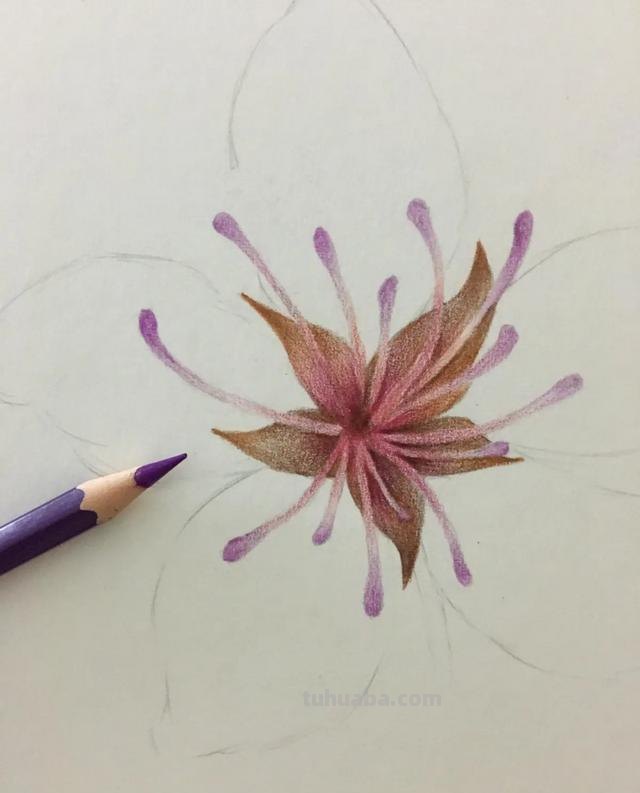 樱花背景怎么画彩铅 怎样用彩铅和水彩笔画樱花? 樱花背景怎么画彩铅 怎样用彩铅和水彩笔画樱花?