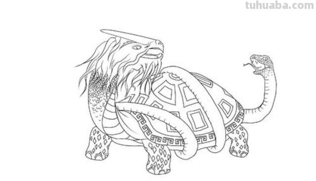 青龙怎么画图片简笔画 如何画龙简单好看简笔画？