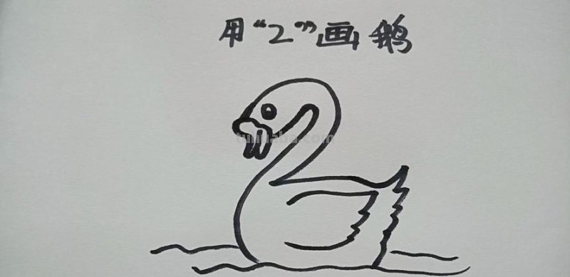 白鹅怎么画简笔画步骤 咏鹅画画？