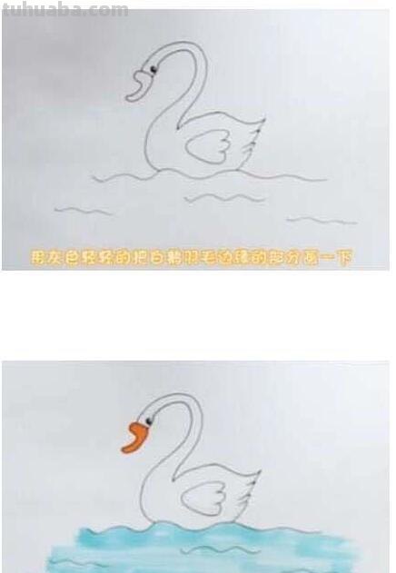 白鹅怎么画简笔画步骤 咏鹅画画？