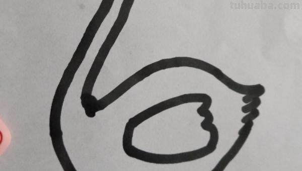 白鹅怎么画简笔画步骤 咏鹅画画？
